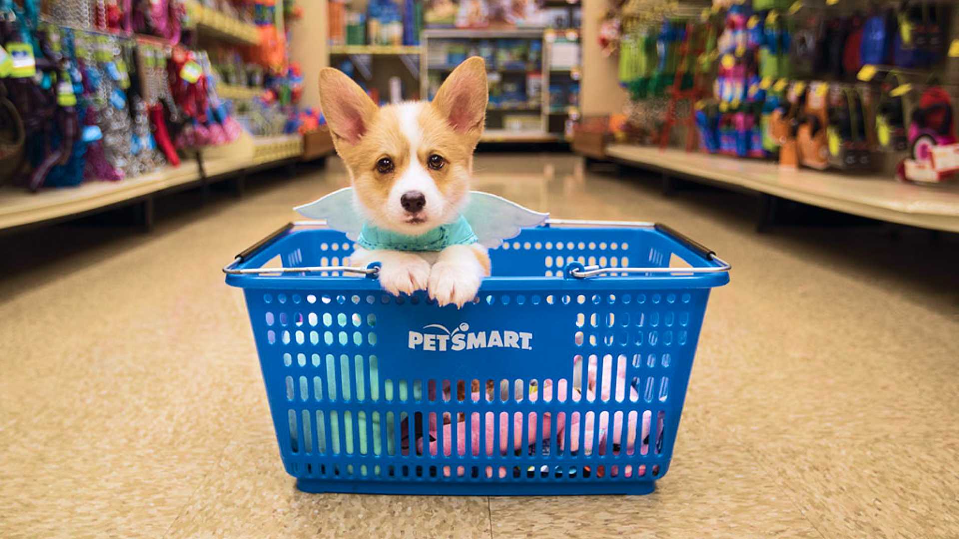 Petsmart